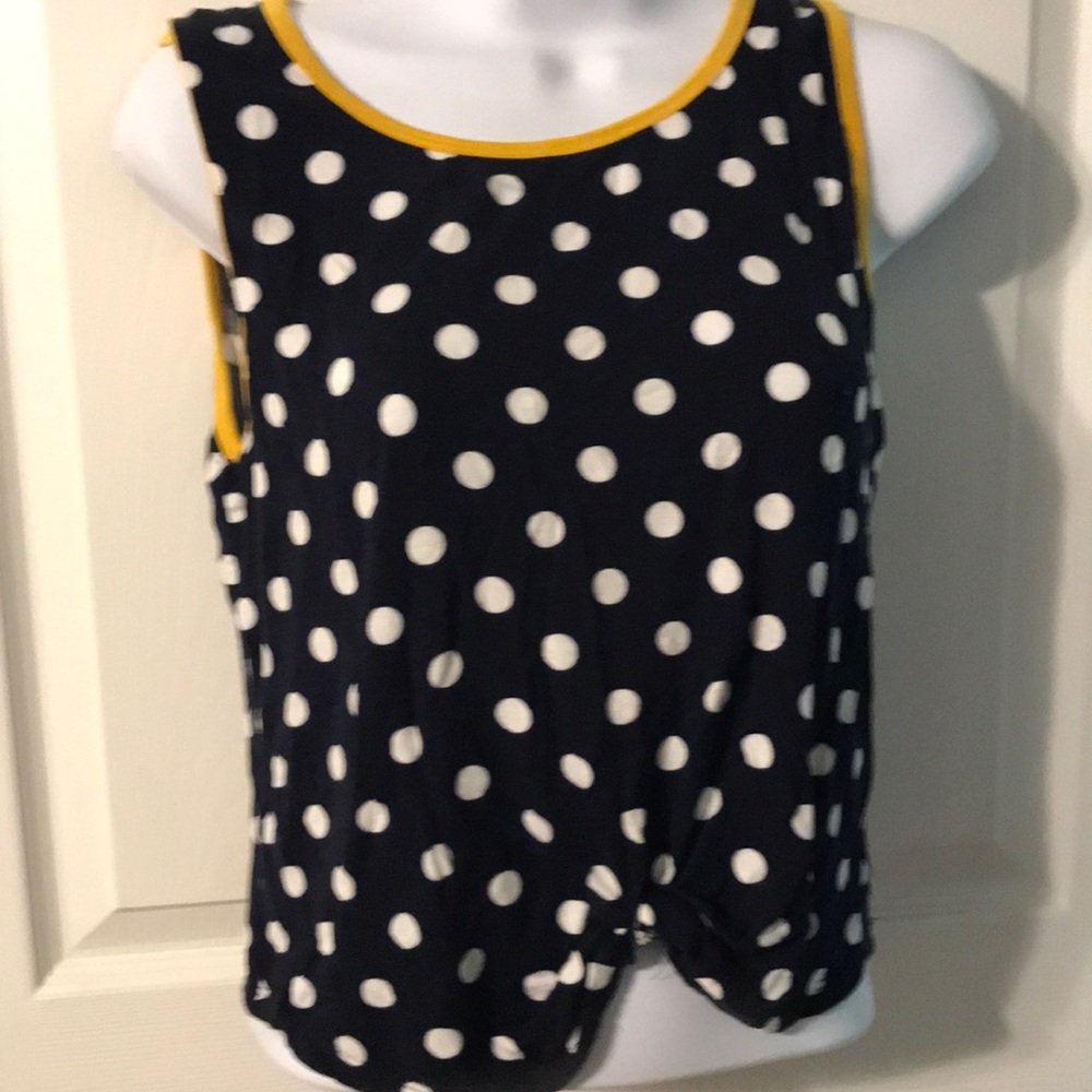 Blue white Polka dots crop top